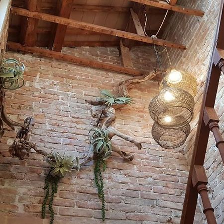 Maison Du Flaneur Κιότζα Εξωτερικό φωτογραφία